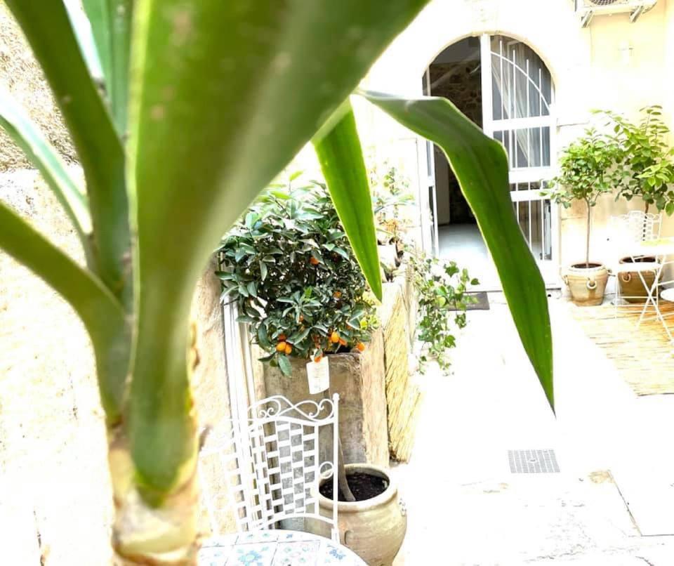 Lemon Suite Ortigia Szirakúza Kültér fotó